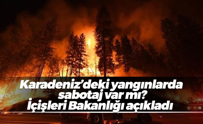 Karadeniz'deki yangınlarda sabotaj var mı?