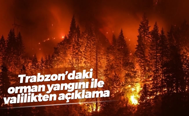 Trabzon'da çıkan orman yangınları ile ilgili Valilik'ten açıklama