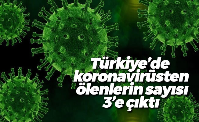 Türkiye'de koronavirüsten ölenlerin sayısı 3'e çıktı