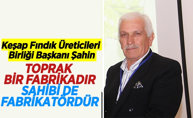 Keşap Fındık Üreticileri Birliği Başkanı Şahin, Toprak fabrikadır, sahibi de fabrikatördür.