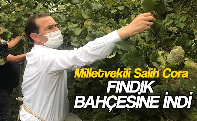 AK Parti Trabzon Milletvekili Salih Cora, Beşikdüzü’nde fındık üreticisiyle buluştu