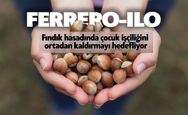 Ferrero ve ILO çocuk işçiliğini ortadan kaldırmayı hedefliyor.