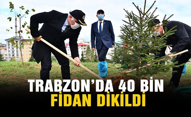 Trabzon’da 40 bin adet fidan dikildi.