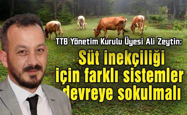 Trabzon’da süt inekçiliği için farklı sistemler devreye sokulmalı.