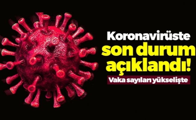 Türkiye'de son 24 saatte 8.103 koronavirüs vakası tespit edildi