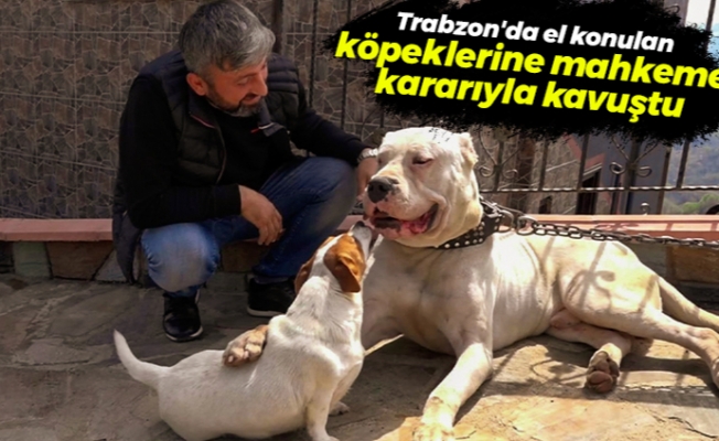 Trabzon'da el konulan köpeklerine mahkeme kararıyla kavuştu