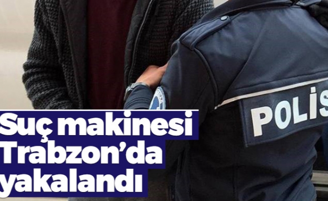 Suç makinesi Trabzon'da yakalandı