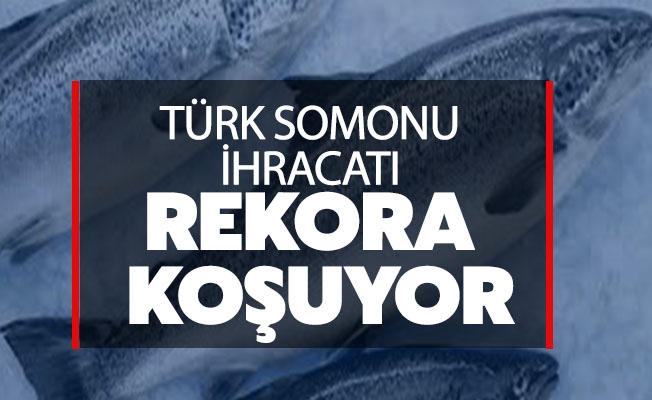 Türk Somonu İhracatı Rekora Koşuyor