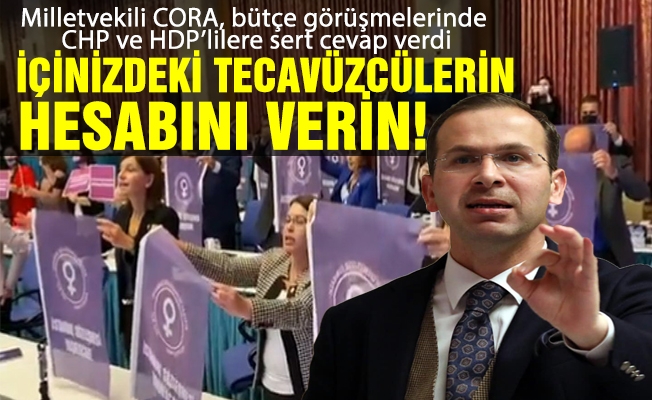 Milletvekili CORA, bütçe görüşmelerinde İstanbul Sözleşmesi üzerinden şov yapan CHP ve HDP’lilere sert cevap