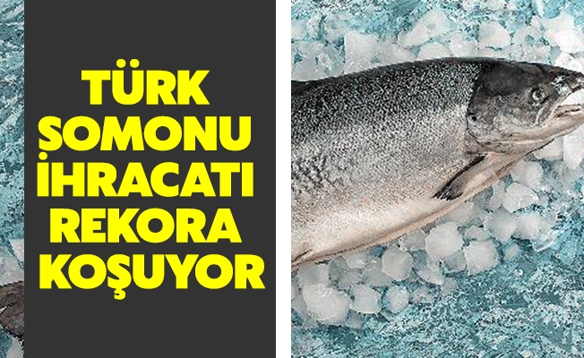 Türk Somonu İhracatı Rekora Koşuyor