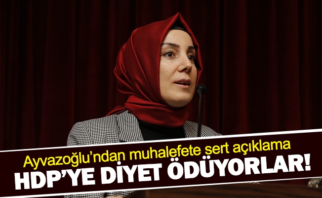 Ayvazoğlu’ndan muhalefete sert açıklama: HDP’ye diyet ödüyorlar!