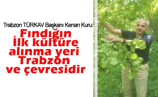 Başkan Kuru; Fındığın İlk kültüre alınma yeri Trabzon ve çevresidir.