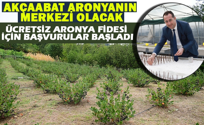 Akçaabat Aronyanın Merkezi Olacak