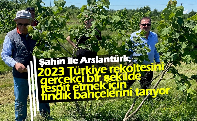 Şahin ile Arslantürk, fındık bahçelerinin gediklisi…