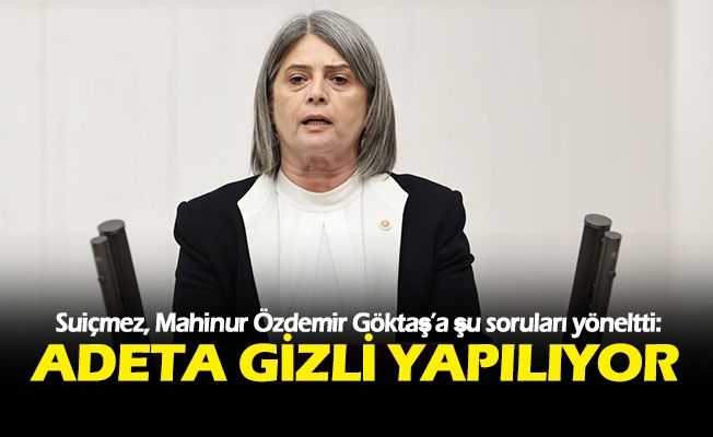 Sibel Suiçmez, Aile ve Sosyal Hizmetler Bakanı Göktaş’a Sordu: