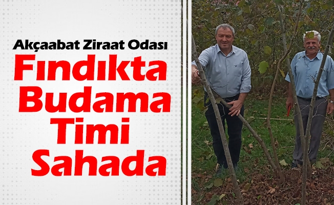 Akçaabat Ziraat Odası Fındıkta  Budama Timi  Sahada