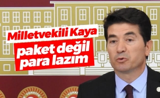 Milletvekili Kaya:paket değil para lazım